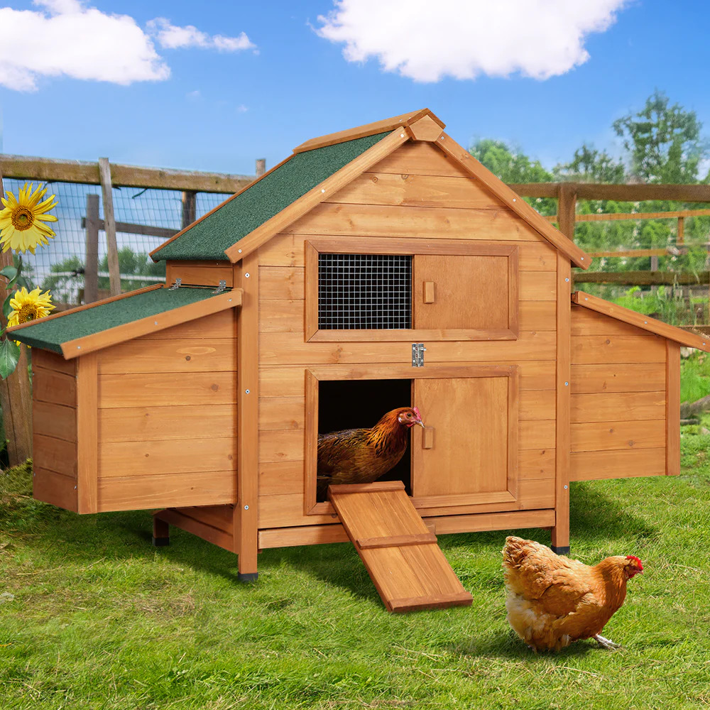 Pet Outdoor Furniture